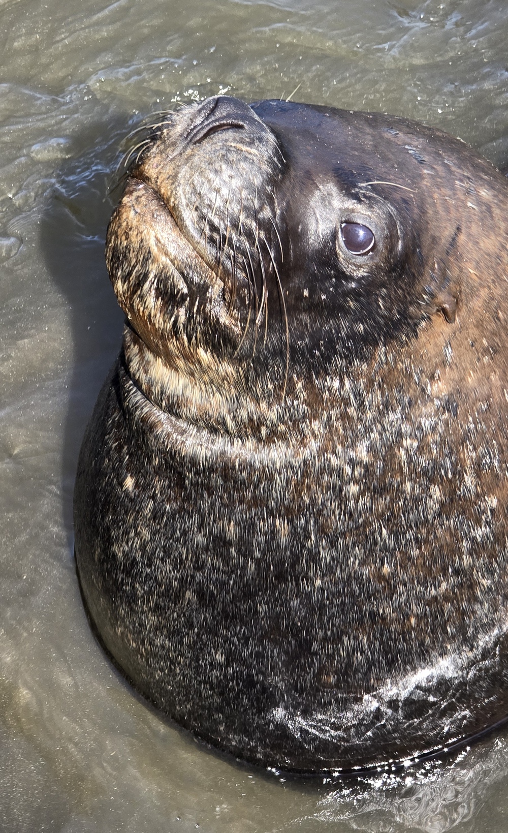 2026-03-21-D Iquique 20260321_111244_ji.jpg